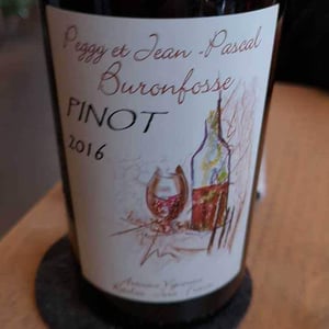 Les Fontaines - Pinot - Domaine Buronfosse - peggy-jean-pascal-buronfosse