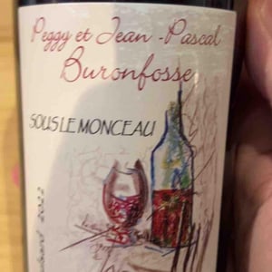 Les Fontaines - Pinot - Domaine Buronfosse - peggy-jean-pascal-buronfosse