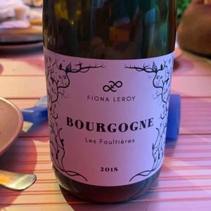Les Foultières - Domaine Fiona Leroy - fiona-leroy