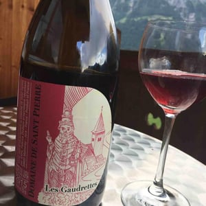 Domaine de Saint Pierre - Fabrice Dodane - Les Gaudrettes