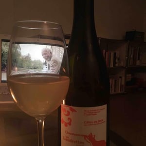 Les Gaudrettes - Domaine Bornard - tony-bornard
