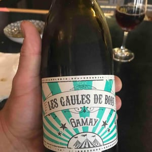 Les Gaules De Bois - Les Gaules De Bois - romuald-cousy-vincent-alexis