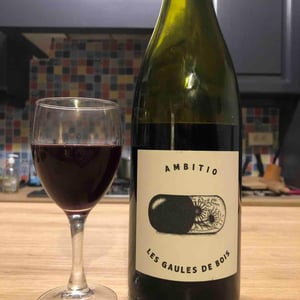 Les Gaules De Bois - L'Ambitio - romuald-cousy