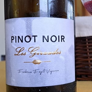 Les Giraudes Pinot Noir - Vignobles Fagot - frederic-fagot -2021