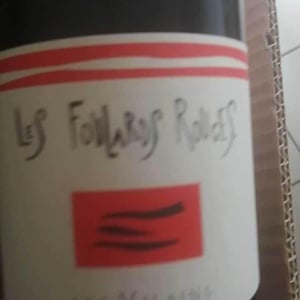 Les Foulards Rouges - Jean-Francois Nicq - Les Glaneurs