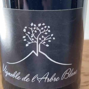 Les Grandes Orgues - Domaine de l'Arbre Blanc - Frédéric Gounan 
