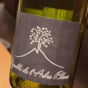 Les Grandes Orgues - Domaine de l'Arbre Blanc - Frédéric Gounan 