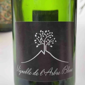 Les Grandes Orgues - Domaine de l'Arbre Blanc - Frédéric Gounan 
