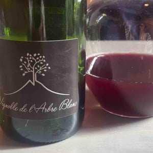 Les Grandes Orgues - Domaine de l'Arbre Blanc - Frédéric Gounan 