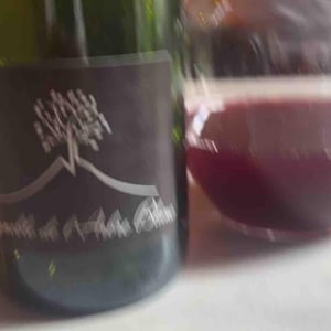 Les Grandes Orgues - Domaine de l'Arbre Blanc - Frédéric Gounan 