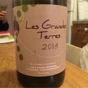 Les Grandes Terres - Domaine Bonnardot - Antoine, Ludovic & Emilien Bonnardot 