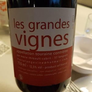 Les Grandes Vignes - Marie Thibault-Cabrit - Marie Thibault-Cabrit -2011