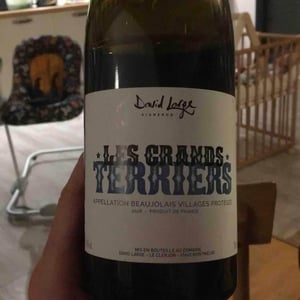 Les Grands Terriers - David Large - celia-rostand-et-david-large