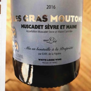 Les Gras Moutons 2016