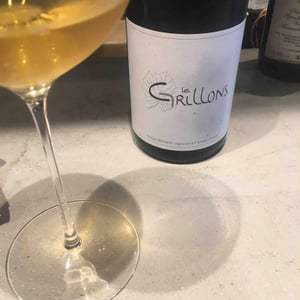 Les Grillons 16