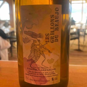 Les Grillons Du Beaujo - Domaine de Botheland - remi-dufaitre-laurence-liatard