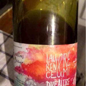 Domaine de Botheland - Rémi Dufaitre & Laurence Liatard - Les Grillons Du Beaujo