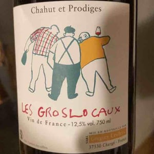 Les Gros Locaux - Chahut et Prodiges - Gregory Leclerc 
