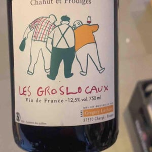 Les Gros Locaux - Chahut et Prodiges - Gregory Leclerc 