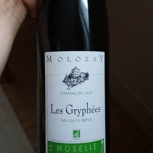 Les Gryphées - Château De Vaux - anne-genevieve-norbert-molozay