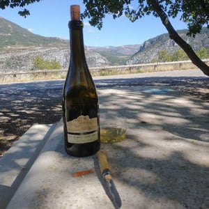 Les gryphées Vieilles Vignes - Domaine Ganevat - Anne & Jean-François Ganevat 