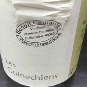 Benoît Courault - Benoît Courault - Les Guinechiens