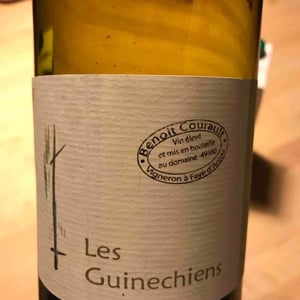 Benoît Courault - Benoît Courault - Les Guinechiens