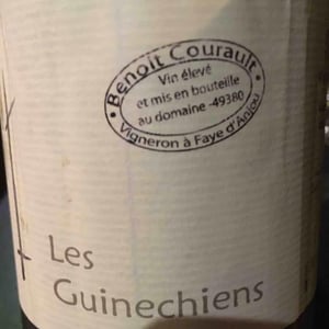 Les Guinechiens 2015 - Benoît Courault - Benoît Courault