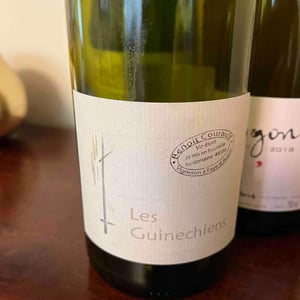 Les Guinechiens - Benoît Courault - Benoît Courault 
