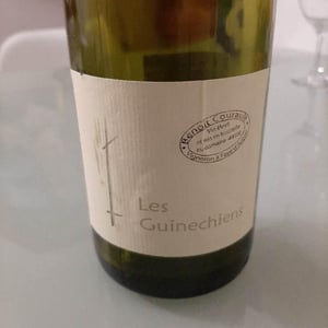 Les Guinechiens - Benoît Courault - Benoît Courault 