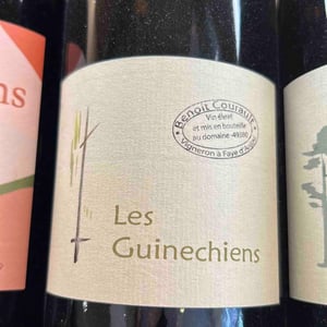Les Guinechiens - Benoît Courault - benoit-courault