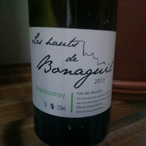 Les Hauts de Bonaguil - Chardonnay Orange - Domaine de Bonaguil - barbora-et-daniel-donath