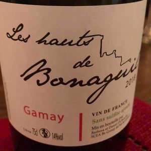 Les Hauts de Bonaguil - Gamay 2018
