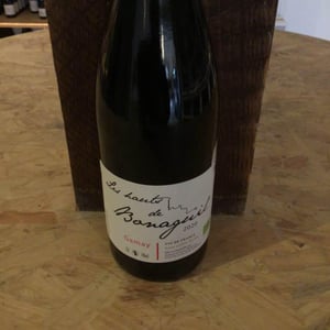 Les Hauts de Bonaguil - Gamay - Domaine de Bonaguil - barbora-et-daniel-donath