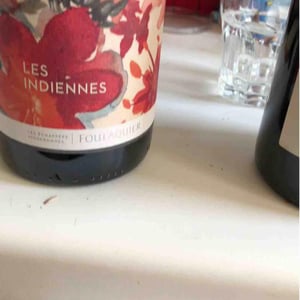 Les Indiennes - Mas Foulaquier - Pierre Jequier & Blandine Chauchat 