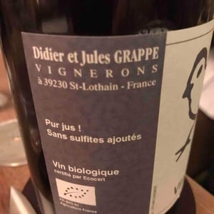 Didier Grappe - Didier et Jules Grappe - Les Insouciantes