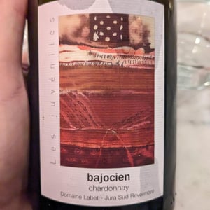 Domaine Labet - Julien, Charline & Romain Labet - Les Juvéniles - Bajocien