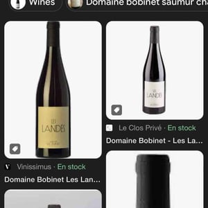 Les Landes - Domaine Calvez-Bobinet - Sébastien Bobinet & Emeline Calvez 