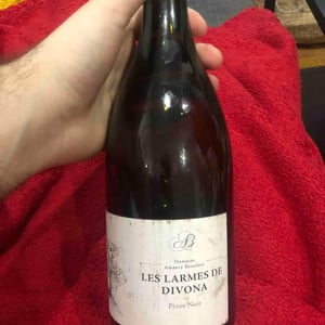 Les Larmes de Divona - Domaine Amaury Beaufort - amaury-beaufort