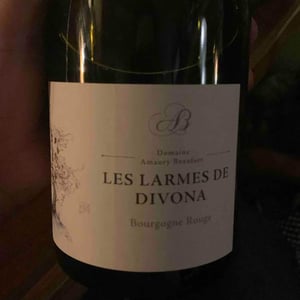 Les Larmes de Divona - Domaine Amaury Beaufort - amaury-beaufort