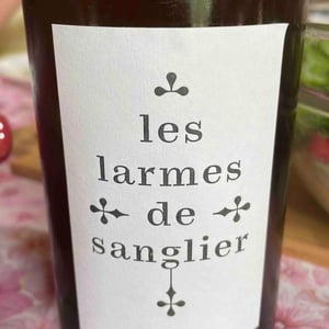Les Larmes de sanglier - Le Bateleur - Gilles & Antonin Azzoni 
