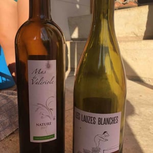 Domaine du Petit Oratoire - Lori Haon - Les Lauzes Blanches