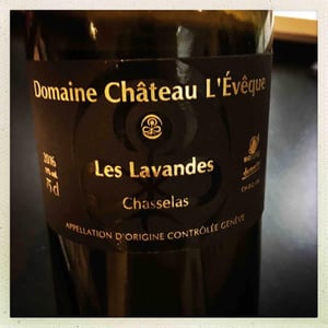 Chasselas « Les Lavandes » - Domaine Château L'Evêque - Martine et Alexandre Mévaux 