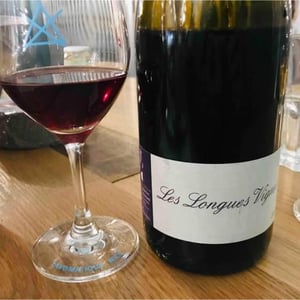 Les Longues Vignes - Le Briseau - Nathalie Gaubicher (et Christian Chaussard) 