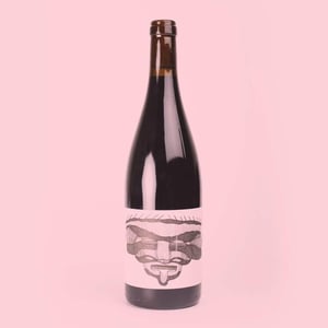 Les Magnes X Pierre Michelland - Vin des Potes - basile-passe -2020