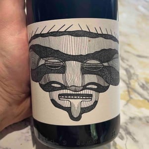 Les Magnes X Pierre Michelland - Vin des Potes - basile-passe -2020