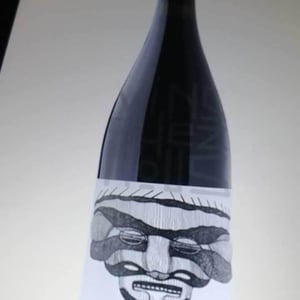 Les Magnes X Pierre Michelland - Vin des Potes - Basile Passe -2020