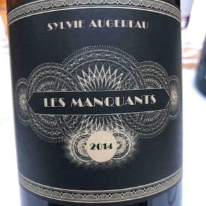 Les Manquants - Sylvie Augereau - Sylvie Augereau 