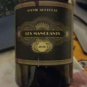 Les Manquants - Sylvie Augereau - Sylvie Augereau 