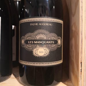 Les Manquants - Sylvie Augereau - sylvie-augereau